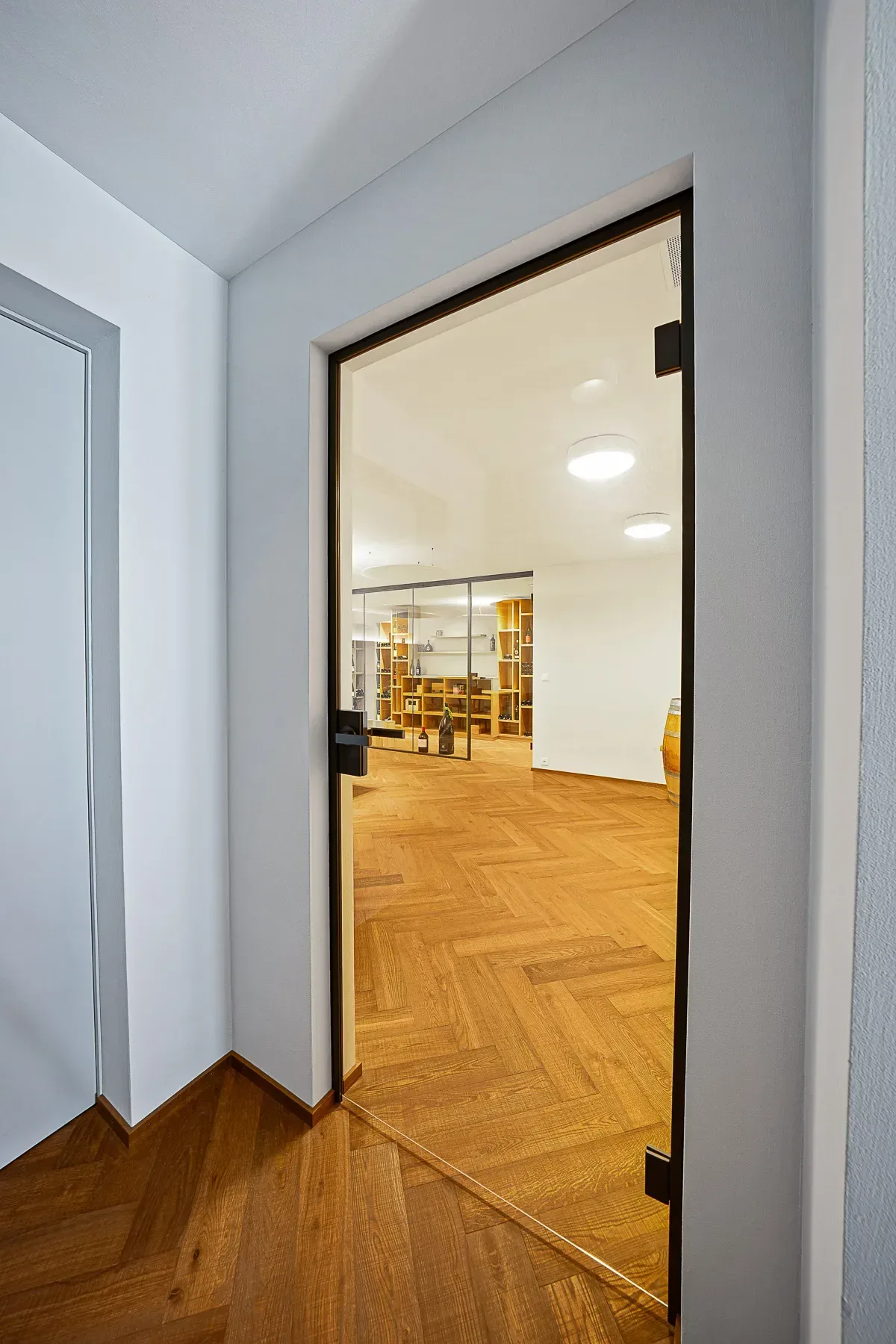 Innentüre mit schwarzem Stahlrahmen und Blick in Weinkeller — Maienfeld